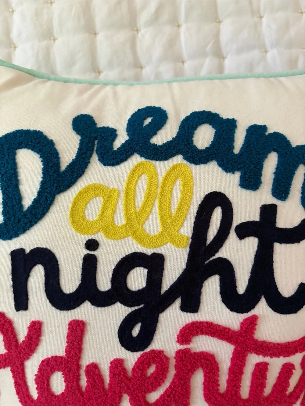 Pillowfort Embroidered 'Dream all night Adventure all day' Throw Pillow - Multi
